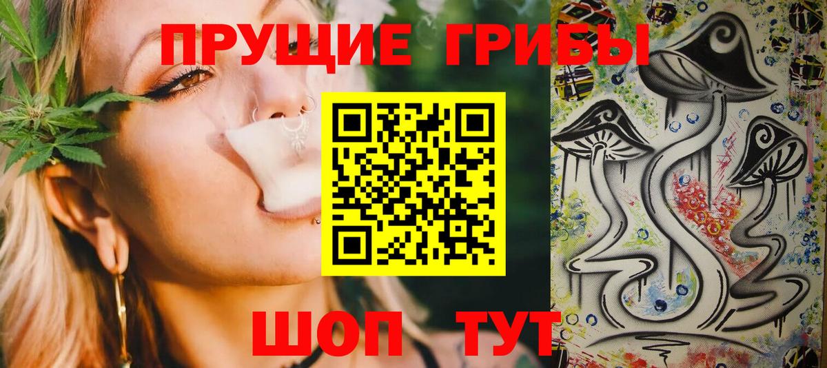 Псилоцибиновые грибы Psilocybine cubensis Каменск-Шахтинский